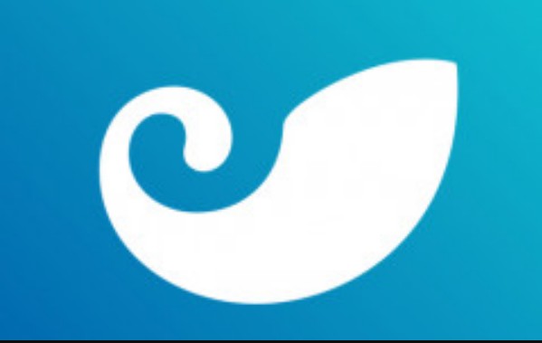 库神钱包Token：功能用途全解析